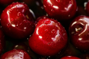 Дневник войны, глава 260. «Кто прячется на парковке – место 21 приглашает! Есть виски, черешня и душевная компания»