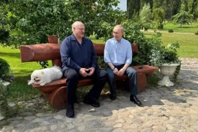 «Сидели и по-стариковски плакали друг другу на президента Зеленского, который не уважает их седины»